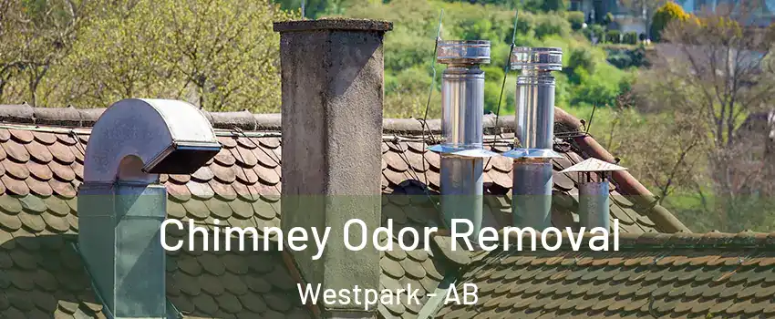  Chimney Odor Removal Westpark - AB