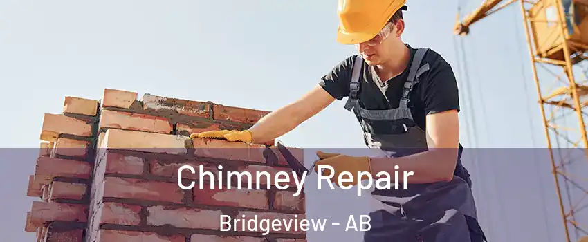  Chimney Repair Bridgeview - AB