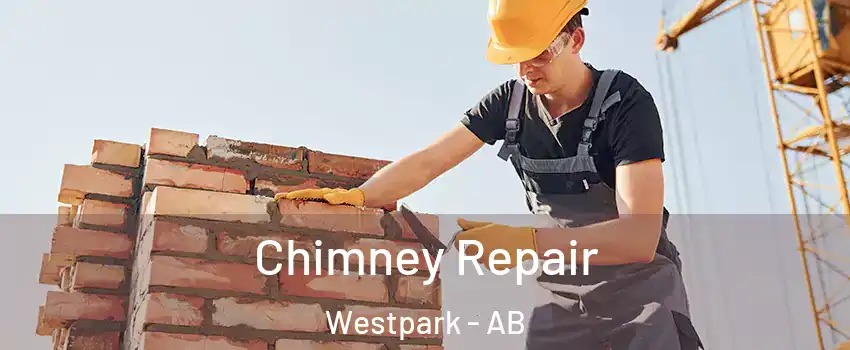  Chimney Repair Westpark - AB