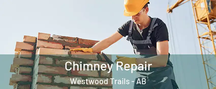 Chimney Repair Westwood Trails - AB