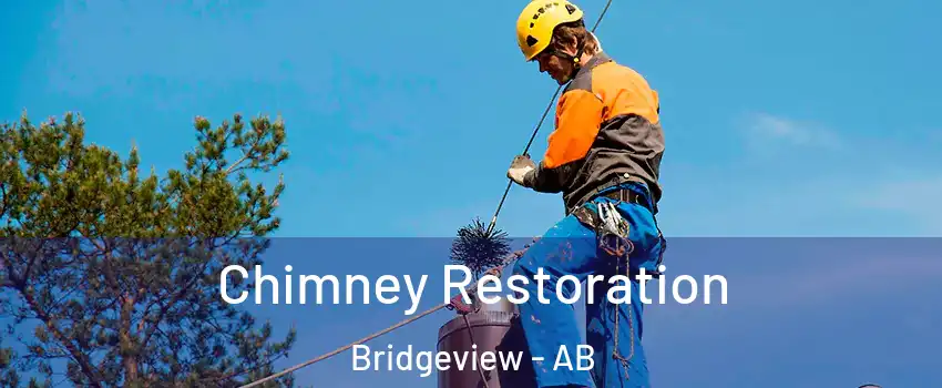  Chimney Restoration Bridgeview - AB
