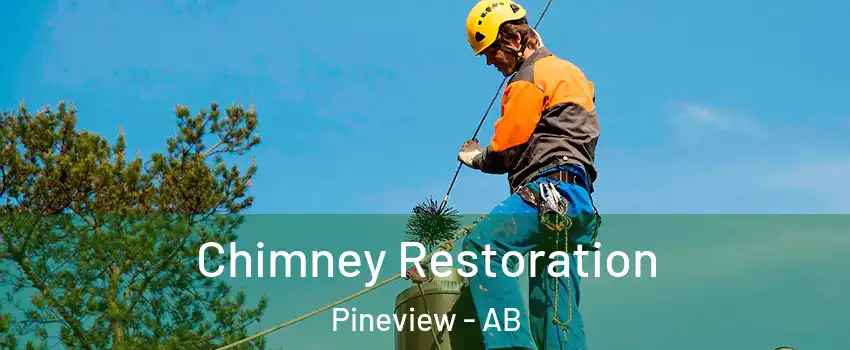  Chimney Restoration Pineview - AB