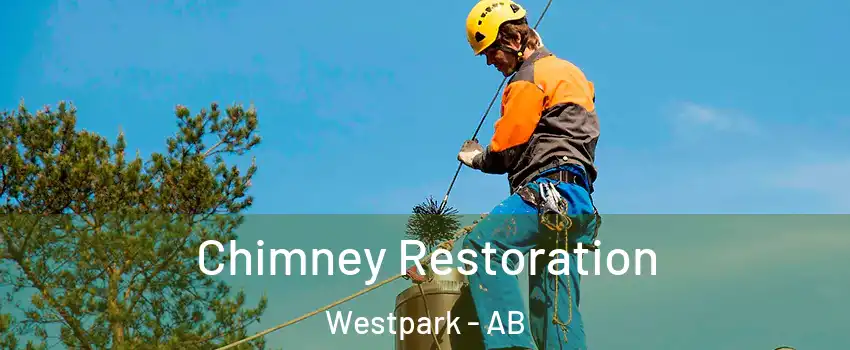  Chimney Restoration Westpark - AB