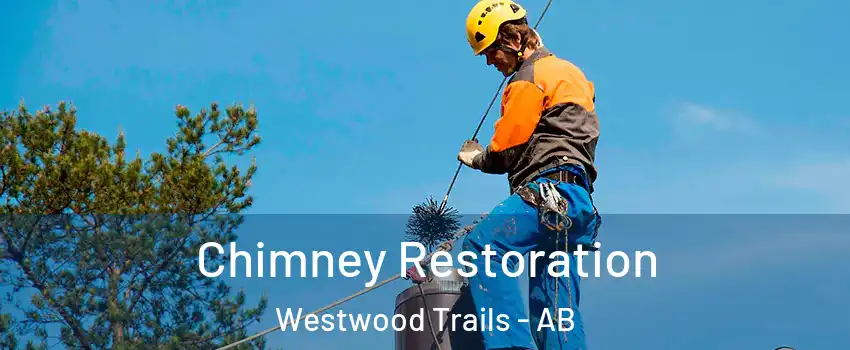 Chimney Restoration Westwood Trails - AB