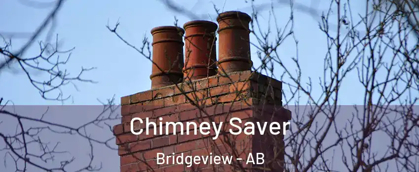  Chimney Saver Bridgeview - AB