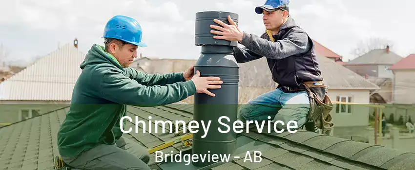  Chimney Service Bridgeview - AB