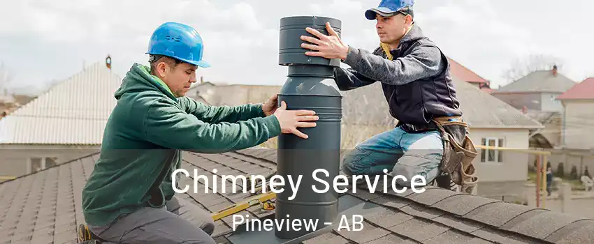  Chimney Service Pineview - AB
