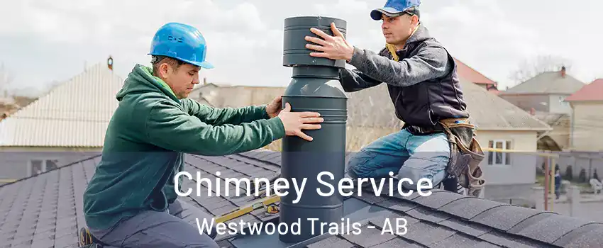  Chimney Service Westwood Trails - AB
