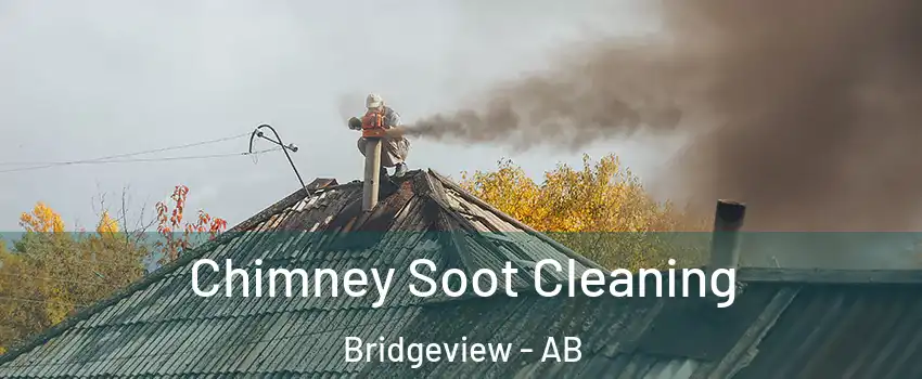  Chimney Soot Cleaning Bridgeview - AB