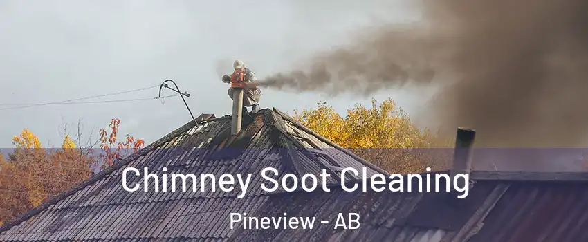  Chimney Soot Cleaning Pineview - AB