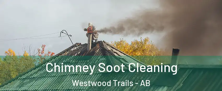  Chimney Soot Cleaning Westwood Trails - AB