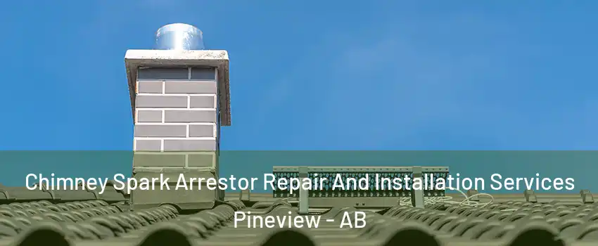  Chimney Spark Arrestor Repair And Installation Services Pineview - AB
