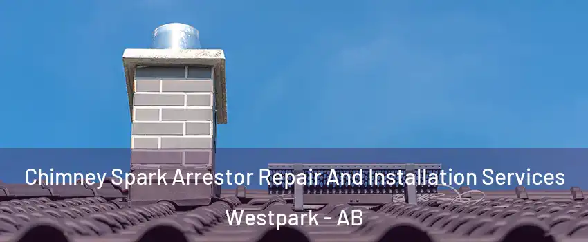  Chimney Spark Arrestor Repair And Installation Services Westpark - AB