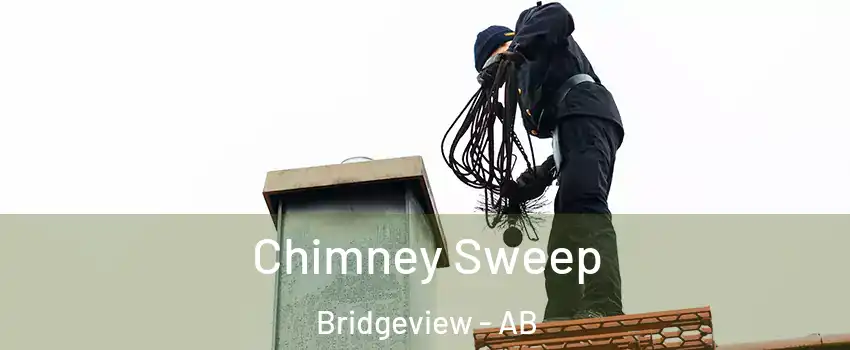  Chimney Sweep Bridgeview - AB