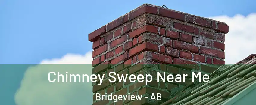  Chimney Sweep Near Me Bridgeview - AB