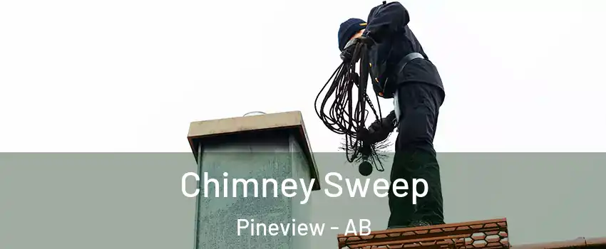  Chimney Sweep Pineview - AB