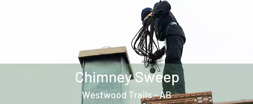  Chimney Sweep Westwood Trails - AB