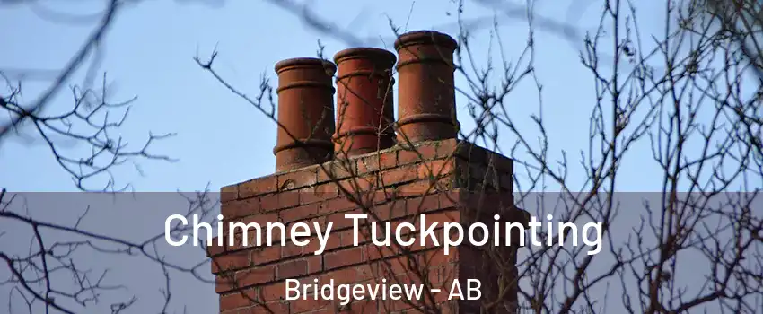  Chimney Tuckpointing Bridgeview - AB