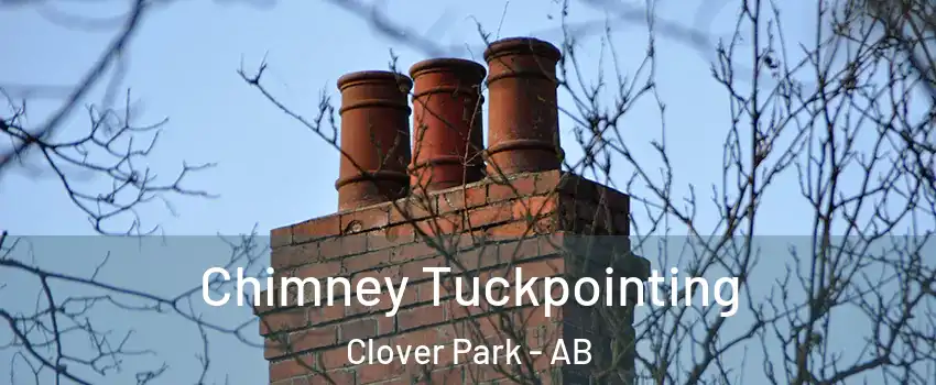  Chimney Tuckpointing Clover Park - AB