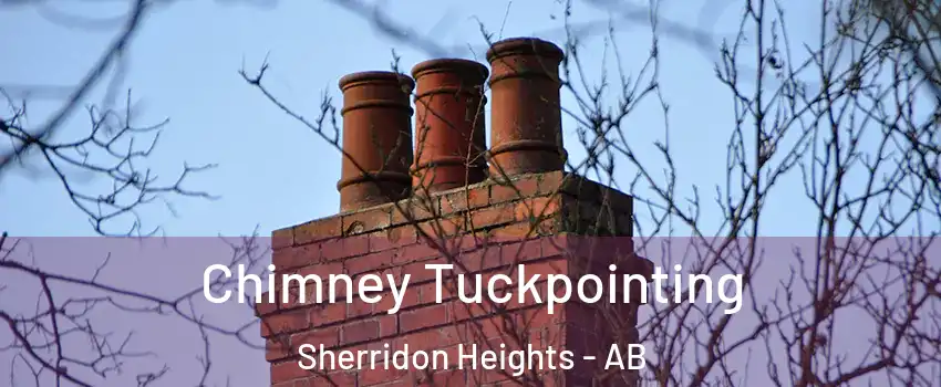  Chimney Tuckpointing Sherridon Heights - AB