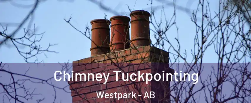  Chimney Tuckpointing Westpark - AB