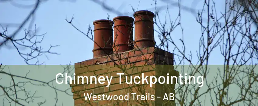  Chimney Tuckpointing Westwood Trails - AB