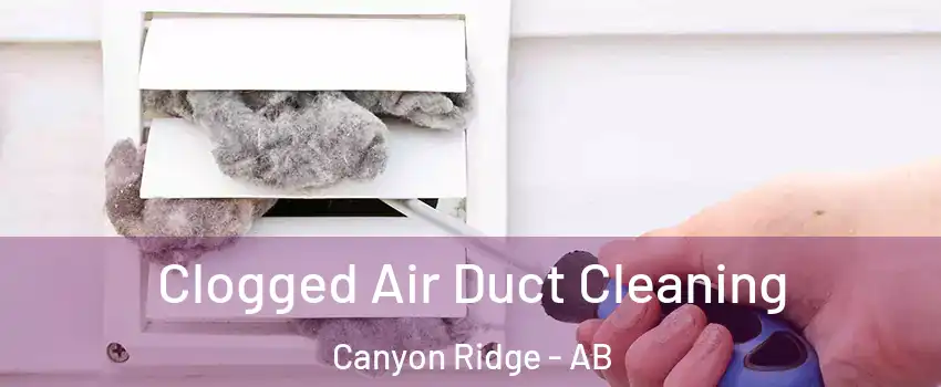  Clogged Air Duct Cleaning Canyon Ridge - AB