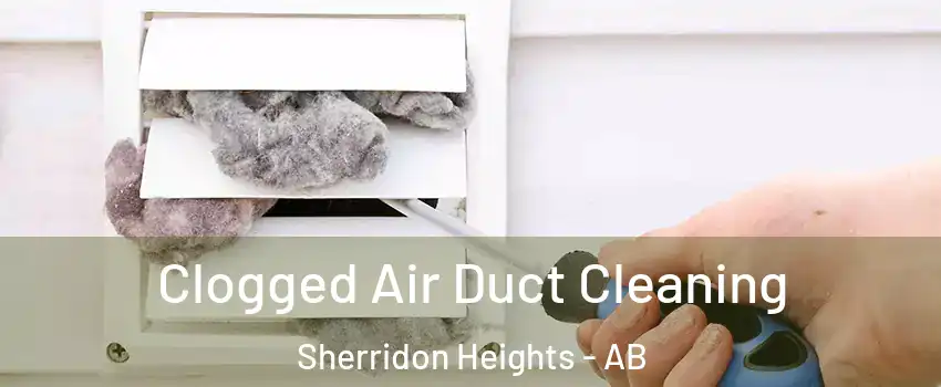  Clogged Air Duct Cleaning Sherridon Heights - AB