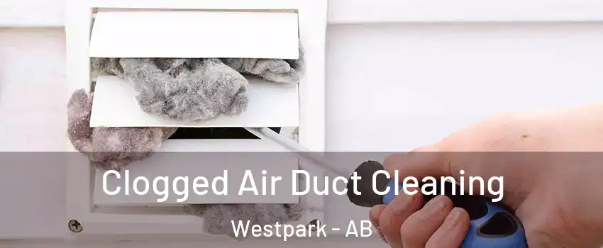  Clogged Air Duct Cleaning Westpark - AB