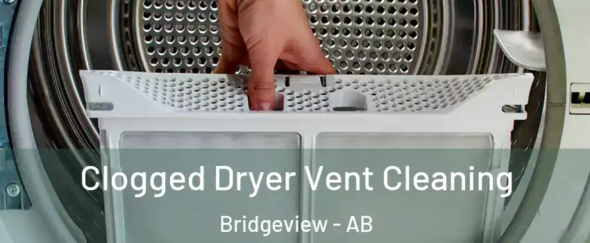  Clogged Dryer Vent Cleaning Bridgeview - AB