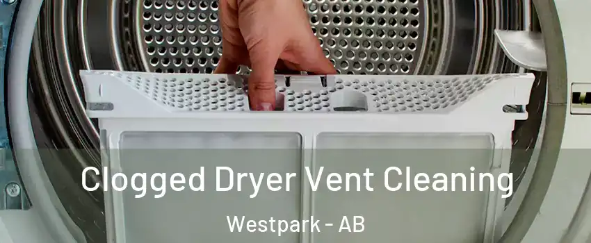  Clogged Dryer Vent Cleaning Westpark - AB