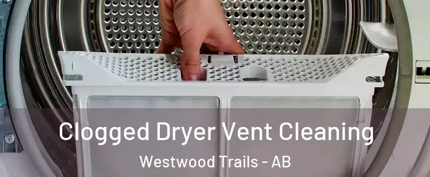  Clogged Dryer Vent Cleaning Westwood Trails - AB