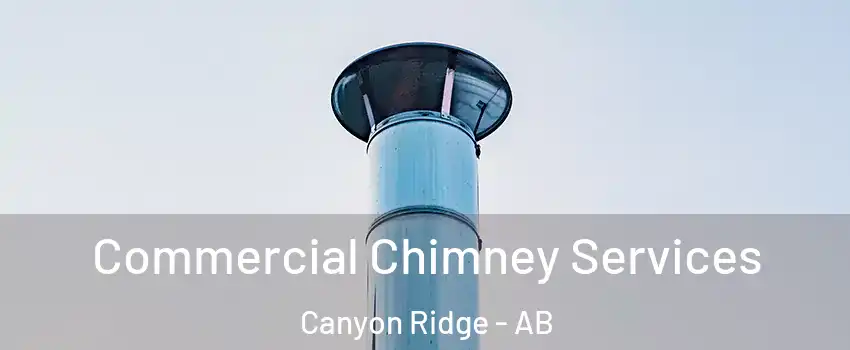  Commercial Chimney Services Canyon Ridge - AB