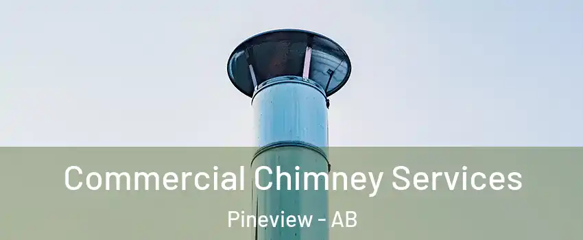  Commercial Chimney Services Pineview - AB