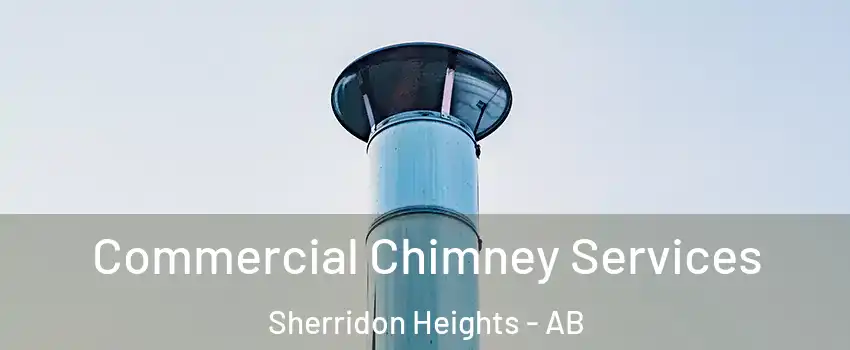  Commercial Chimney Services Sherridon Heights - AB