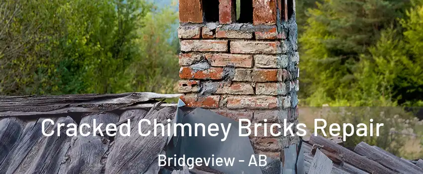  Cracked Chimney Bricks Repair Bridgeview - AB