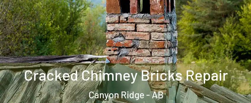  Cracked Chimney Bricks Repair Canyon Ridge - AB