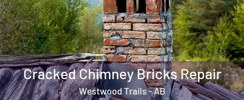  Cracked Chimney Bricks Repair Westwood Trails - AB