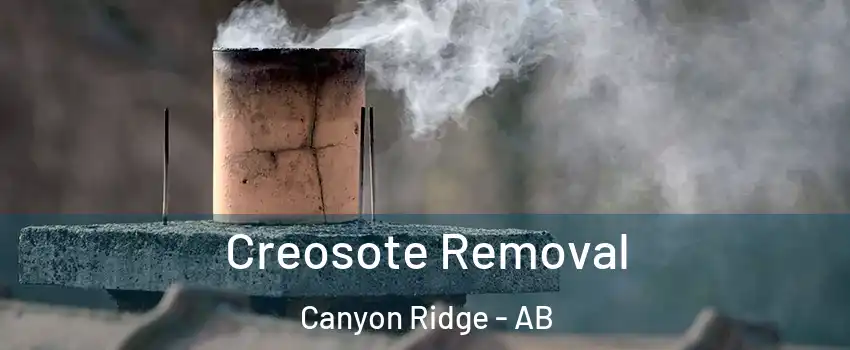  Creosote Removal Canyon Ridge - AB
