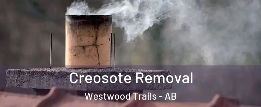  Creosote Removal Westwood Trails - AB