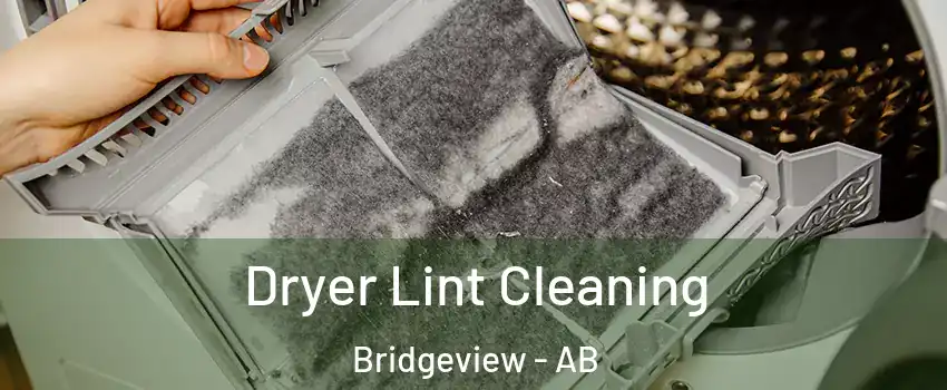  Dryer Lint Cleaning Bridgeview - AB