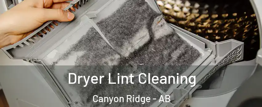  Dryer Lint Cleaning Canyon Ridge - AB