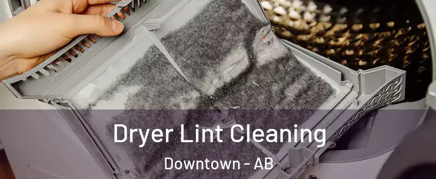  Dryer Lint Cleaning Downtown - AB