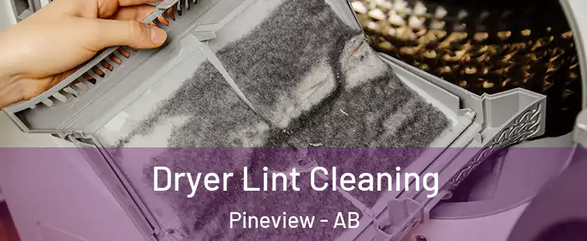  Dryer Lint Cleaning Pineview - AB