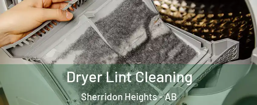  Dryer Lint Cleaning Sherridon Heights - AB