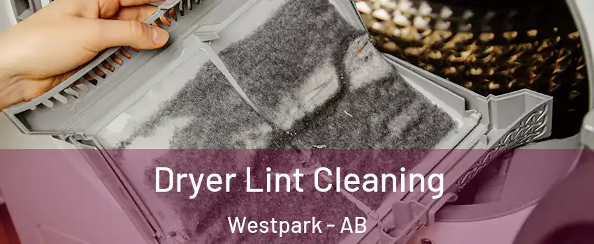  Dryer Lint Cleaning Westpark - AB