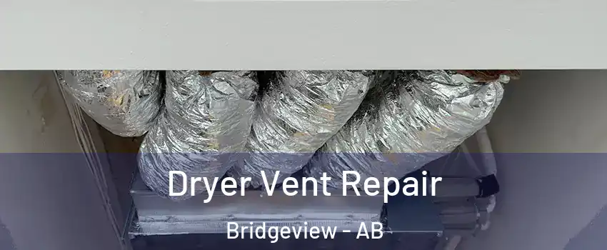  Dryer Vent Repair Bridgeview - AB
