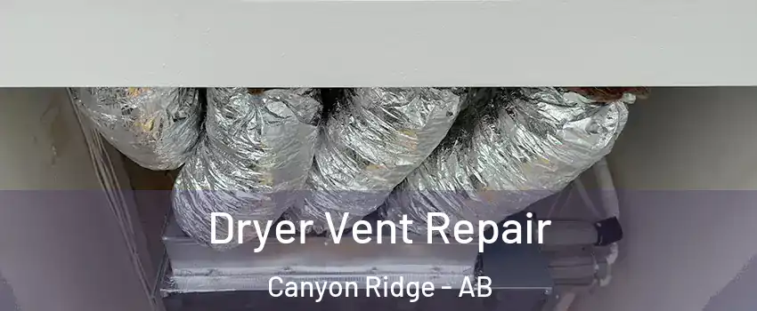  Dryer Vent Repair Canyon Ridge - AB