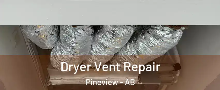  Dryer Vent Repair Pineview - AB