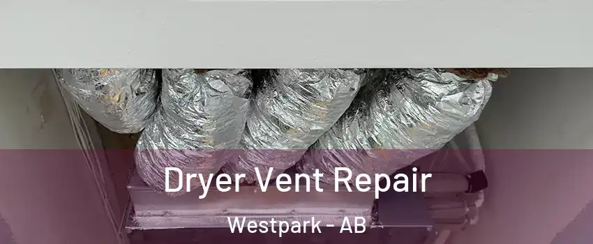  Dryer Vent Repair Westpark - AB